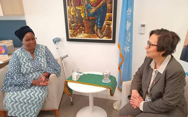 إشادة أمميّة بمكاسب المرأة في تونس بمناسبة الدورة 69 للجنة أوضاع المرأة بالأمم المتحدة