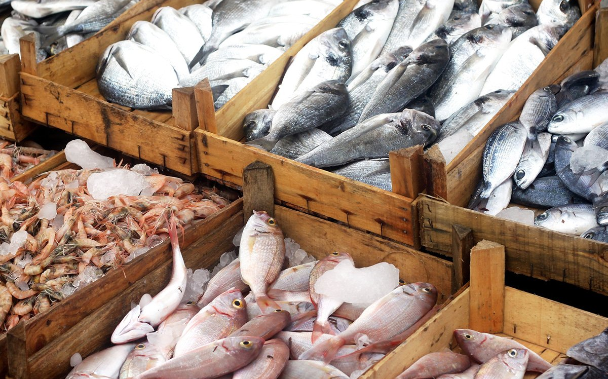 بنزرت: نحو تأهيل وتدعيم وظيفة سوق الجملة للأسماك بجرزونة 