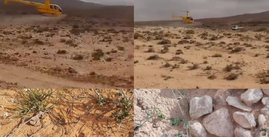   وزارة الفلاحة : القيام بعملية الرش الجوي بالمبيدات لمكافحة ’’الجراد’’ في المنطقة الحدودية العسكرية العازلة  