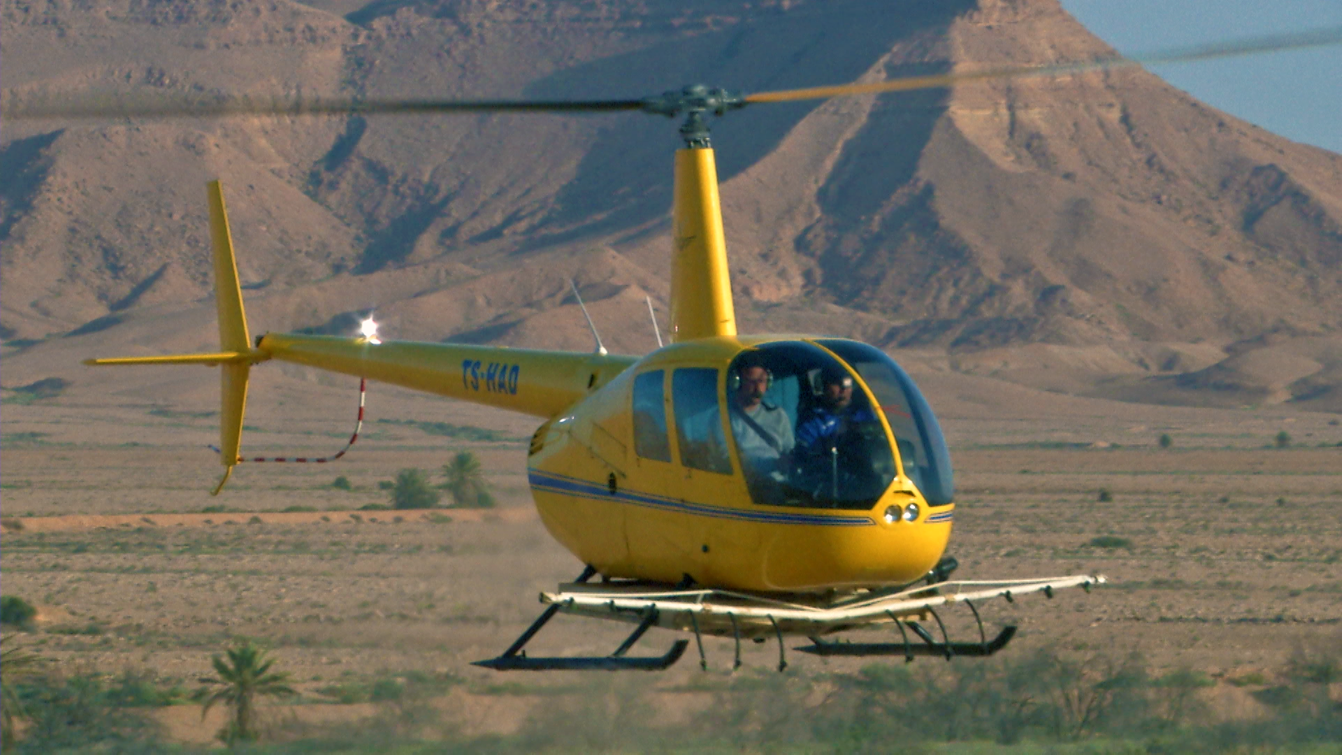 وزارة الفلاحة تؤكد استهداف مجموعات الجراد بالمنطقة العازلة بين رمادة وذهيبة باستخدام طائرة رافنتو