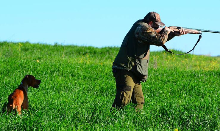  رئيس جمعية الصيادين بالقصرين : ’’قطاع الصيد البري يُواجه صعوبات عديدة ’’