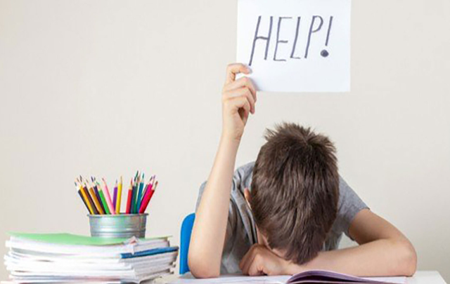 جندوبة: منتدى تربوي للتاسعة والبكالوريا لدعم مكتسبات التلاميذ وتحسين النتائج