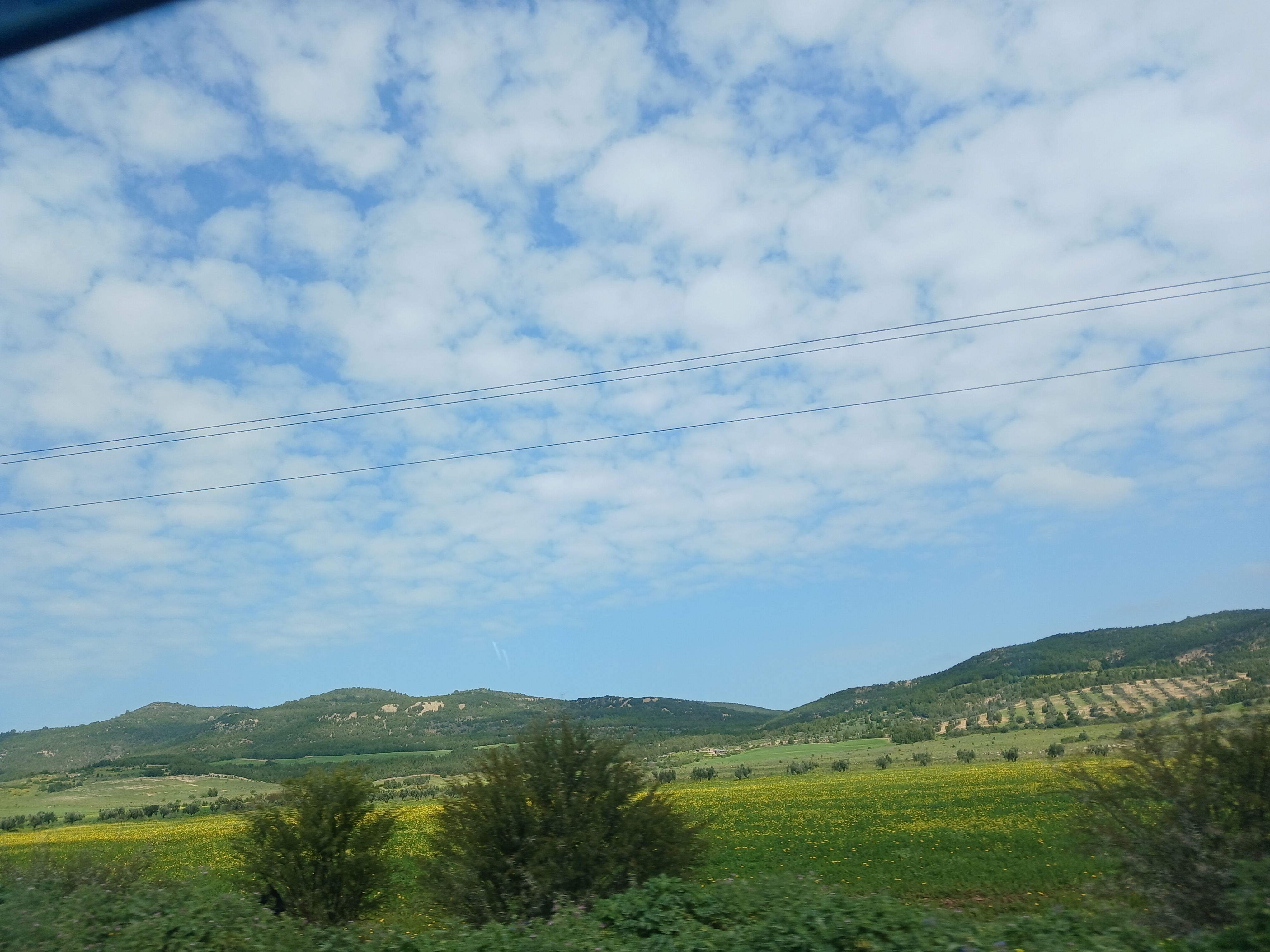 طقس مغيم مع أمطار ضعيفة ببعض الجهات