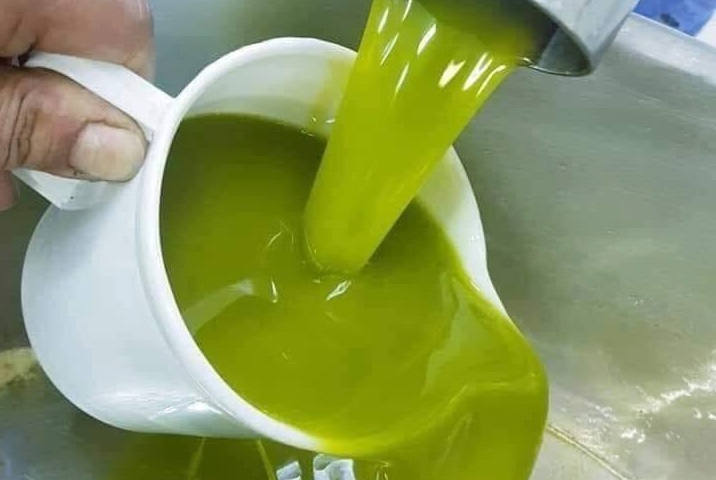زيت زيتون