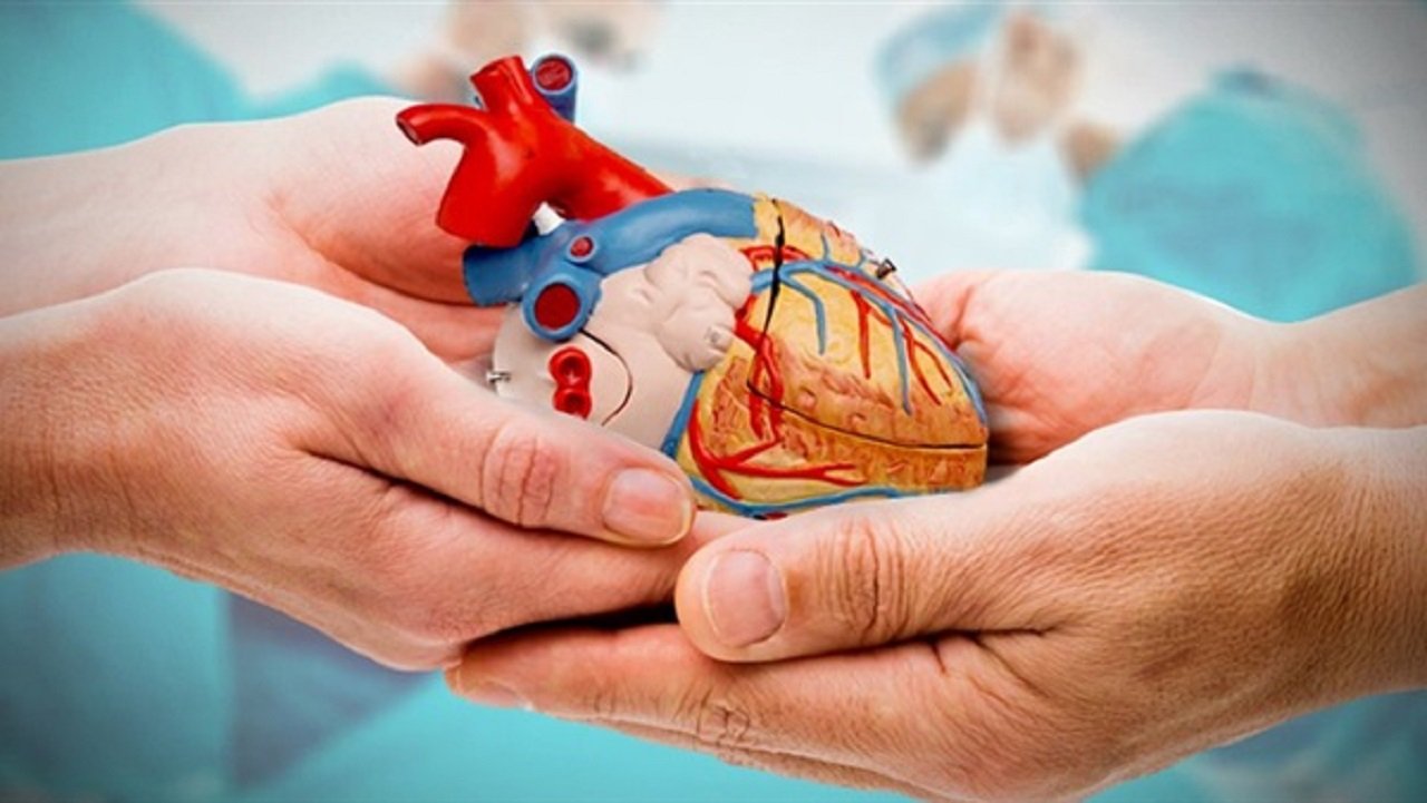 المركز الوطني للنهوض بزرع الأعضاء : نجاح 3 عمليات زرع أعضاء في يوم واحد