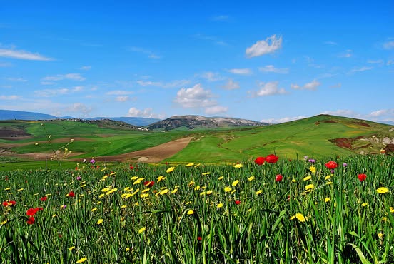 سحب عابرة بأغلب المناطق مع بعض الأمطار والحرارة في انخفاض 