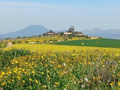 طقس كثيف السحب مع امطار متفرقة  والحرارة في إرتفاع طفيف