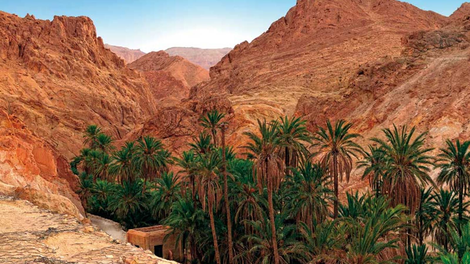 سماء مغشاة بسحب أحيانا كثيفة بالمناطق الساحلية السبت