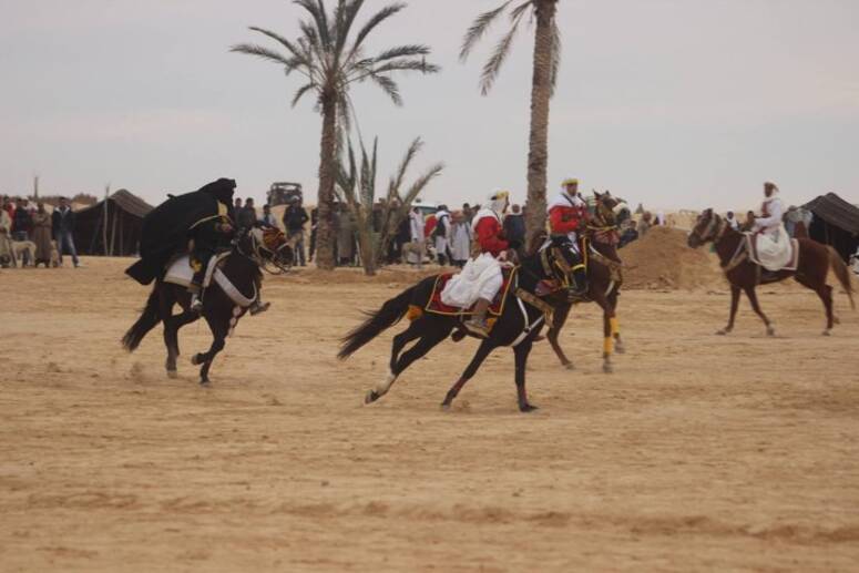الدورة ال40 من المهرجان الدولي للجواد العربي الأصيل بالمكناسي من 2 إلى 4 افريل
