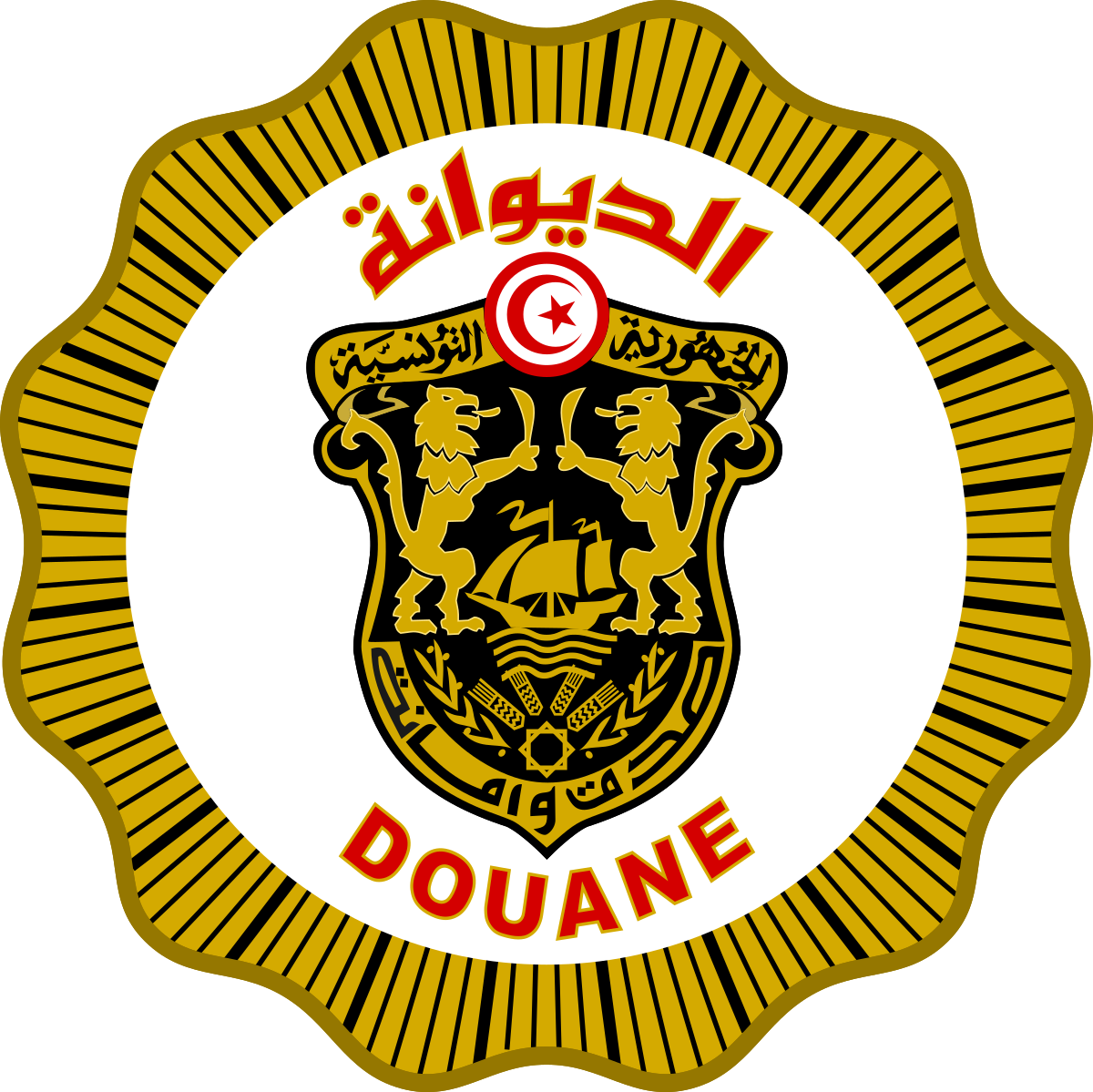 مطار تونس قرطاج: حجز مبلغ 68 ألف أورو غير مصرح بها لدى مسافرة أجنبية