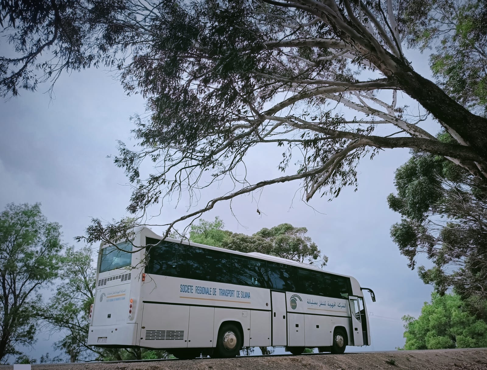 إلى غاية 7 أفريل: سفرات استثنائية بين ولاية سليانة وولايات القيروان ونابل وسوسة والمنستير