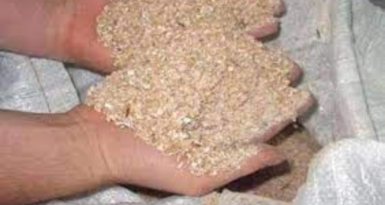 النفيضة: حجز 80 طنًا من "السداري" منتهية الصلوحية 