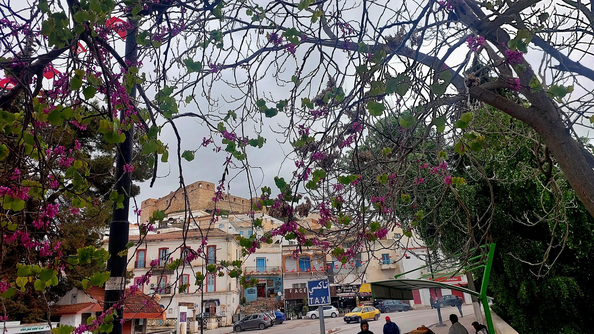 تطورالمداخيل السياحية، بنسبة 5 بالمائة خلال الثلاثية الاولى من السنة الحالية (البنك المركزي)