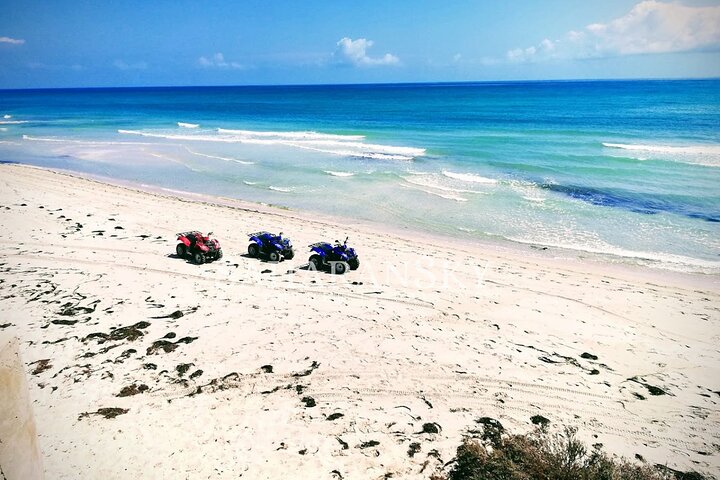 تحجير  ممارسة الأنشطة الرياضية والترفيهية الميكانيكية على الشواطئ والكثبان الرملية 