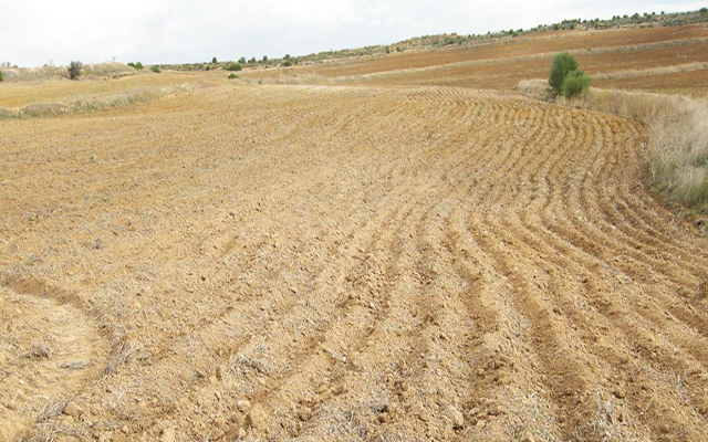 اليوم الختامي لمشروع 'حماية واعادة تأهيل التربة المتدهورة في تونس' يعقد غدا بالعاصمة