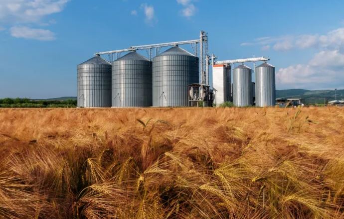 لمراكز تخزين الحبوب