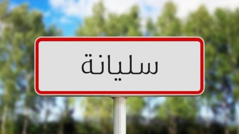  ضبط خطة عمل لإزالة الانتصاب الفوضوي بمدينة سليانة