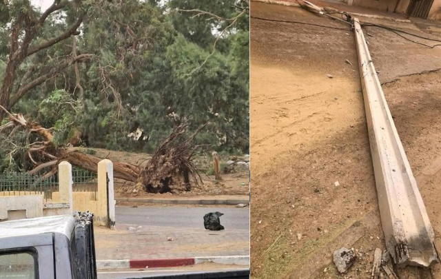 سقوط عدد من الأشجار والأعمدة الكهربائية