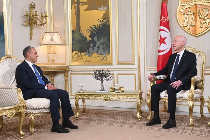 قيس سعيد يتلقى رسالة خطية من نظيره المصري عبد الفتاح  السيسي 