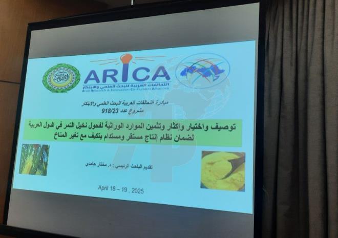 بمشاركة خبراء من 10 دول عربية: توزر تحتضن ورشة إطلاق مشروع بحثي عملي حول تثمين فحول نخيل التمر