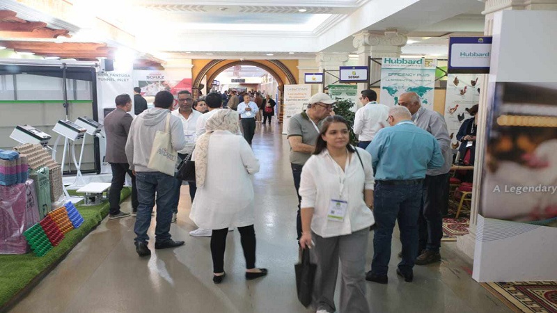 الحمامات تحتضن الصالون المتوسطي للإنتاج الحيواني وتربية الماشية