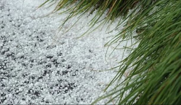 الكاف : تسجيل أضرار جسيمة في مزارع الحبوب نتيجة تساقط البرد