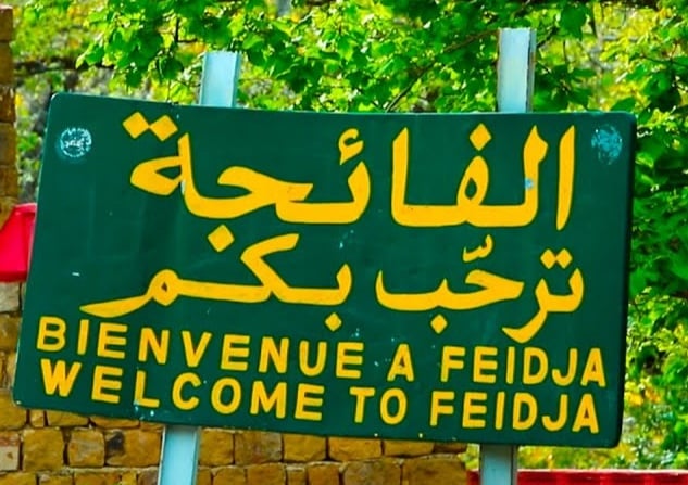 غار الدماء:  غدا تنظيم يوم تحسيسي ومعرض للمنتوجات المحلية التي تعكس ثروة الجهة 