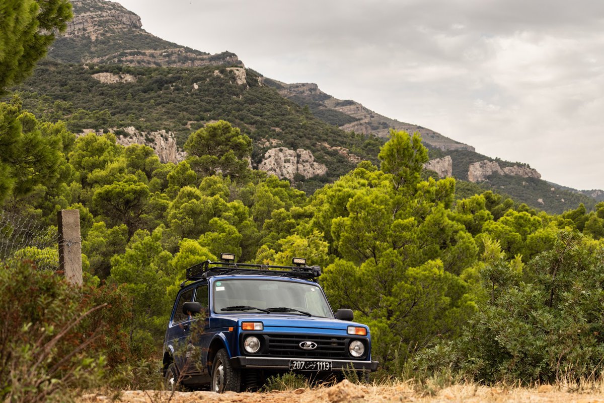 من 1 ماي إلى 31 أكتوبر: منع الزيارات إلى الحديقة الوطنية بجبل السرج والمنطقة الرطبة بسليانة