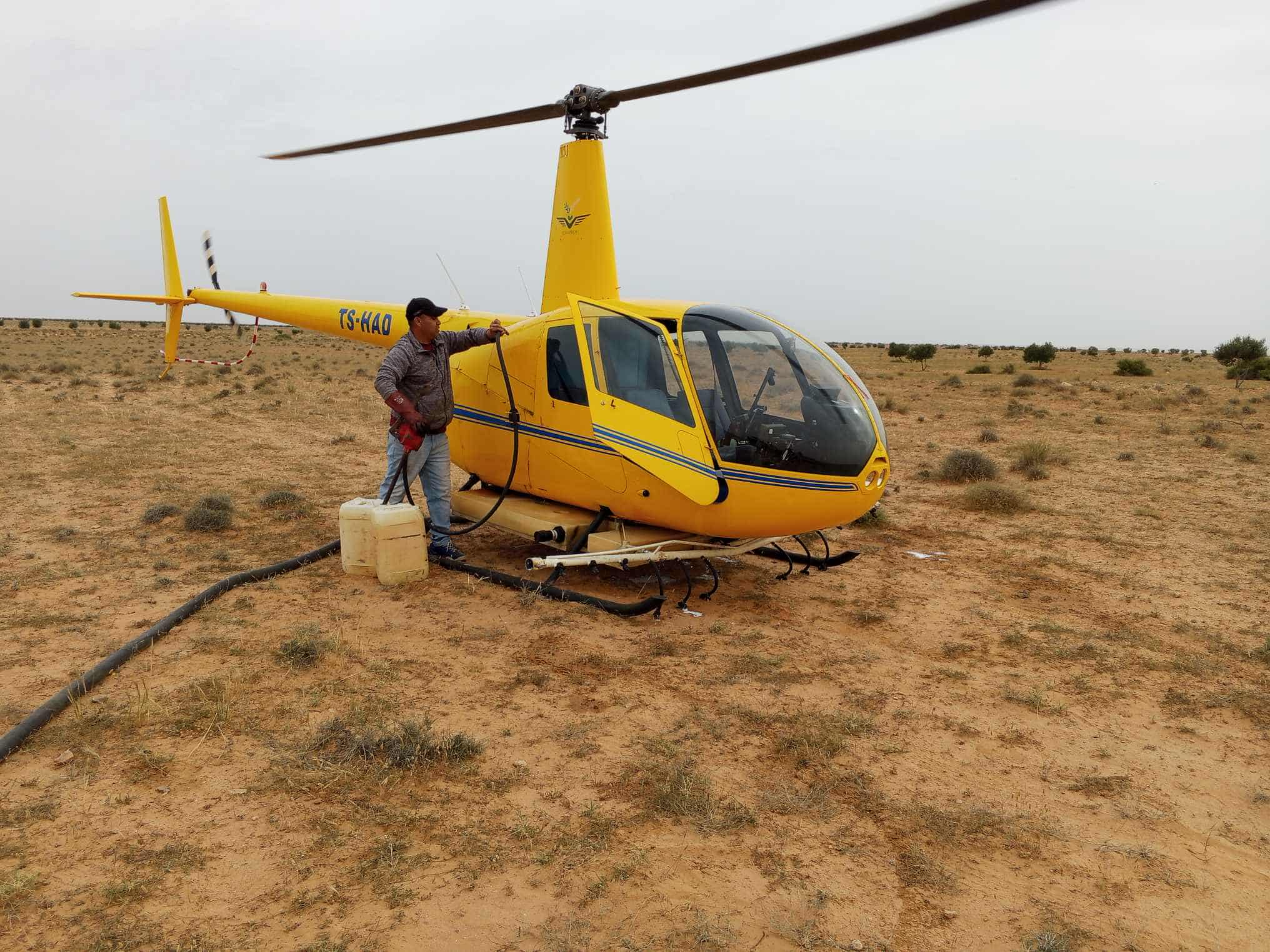 صباح اليوم: مداواة 480 هك جوا ضد الجراد الصحراوي في بن قردان