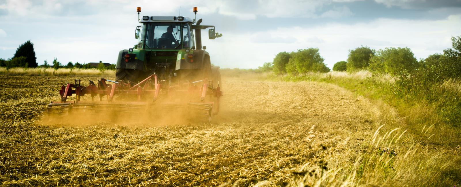 الكاف: انطلاق موسم حصاد الأعلاف الأسبوع القادم