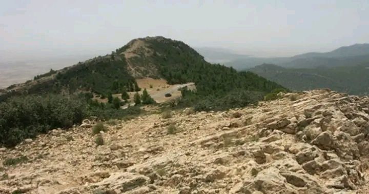 القصرين : إكتشاف موقع أثري جديد بمنطقة جبل السلوم يعود للفترة الرومانية