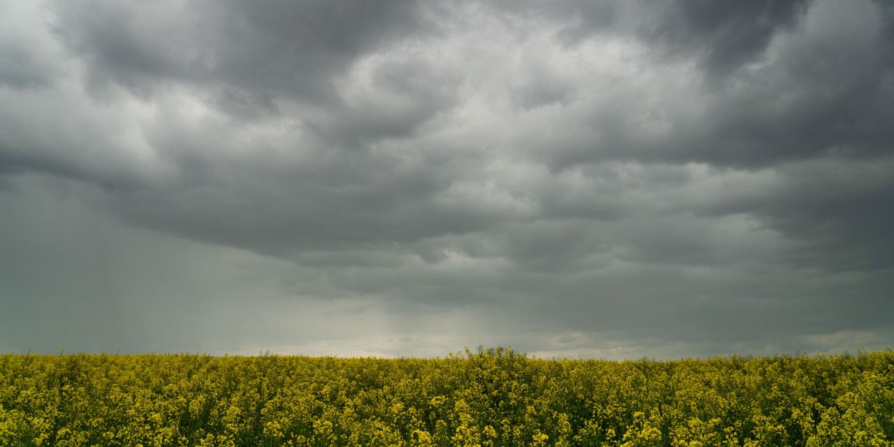 اليوم: أمطار أحيانا غزيرة والحرارة تصل إلى 32 درجة