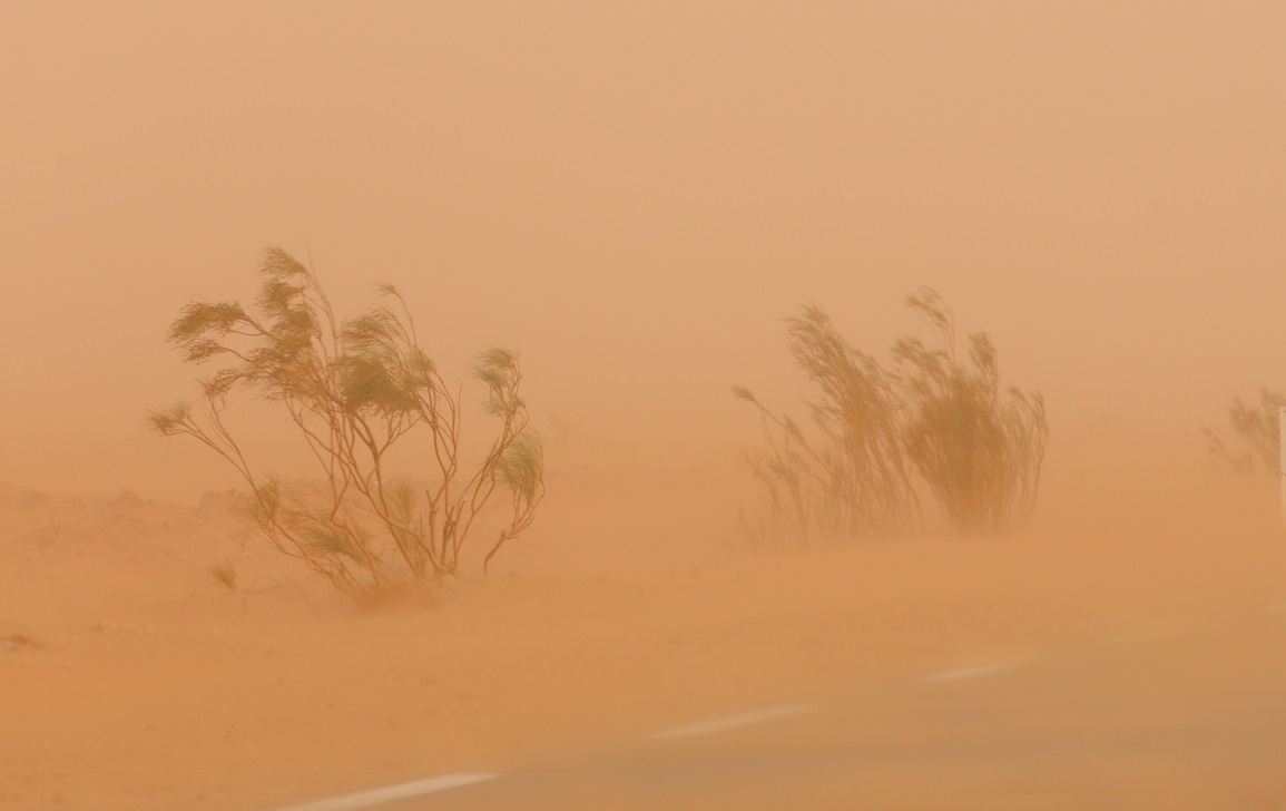 هُبوب رياح رمليّة قويّة بتوزر: إدارة التجهيز تدعُو إلى توخّي الحذر بالطرقات