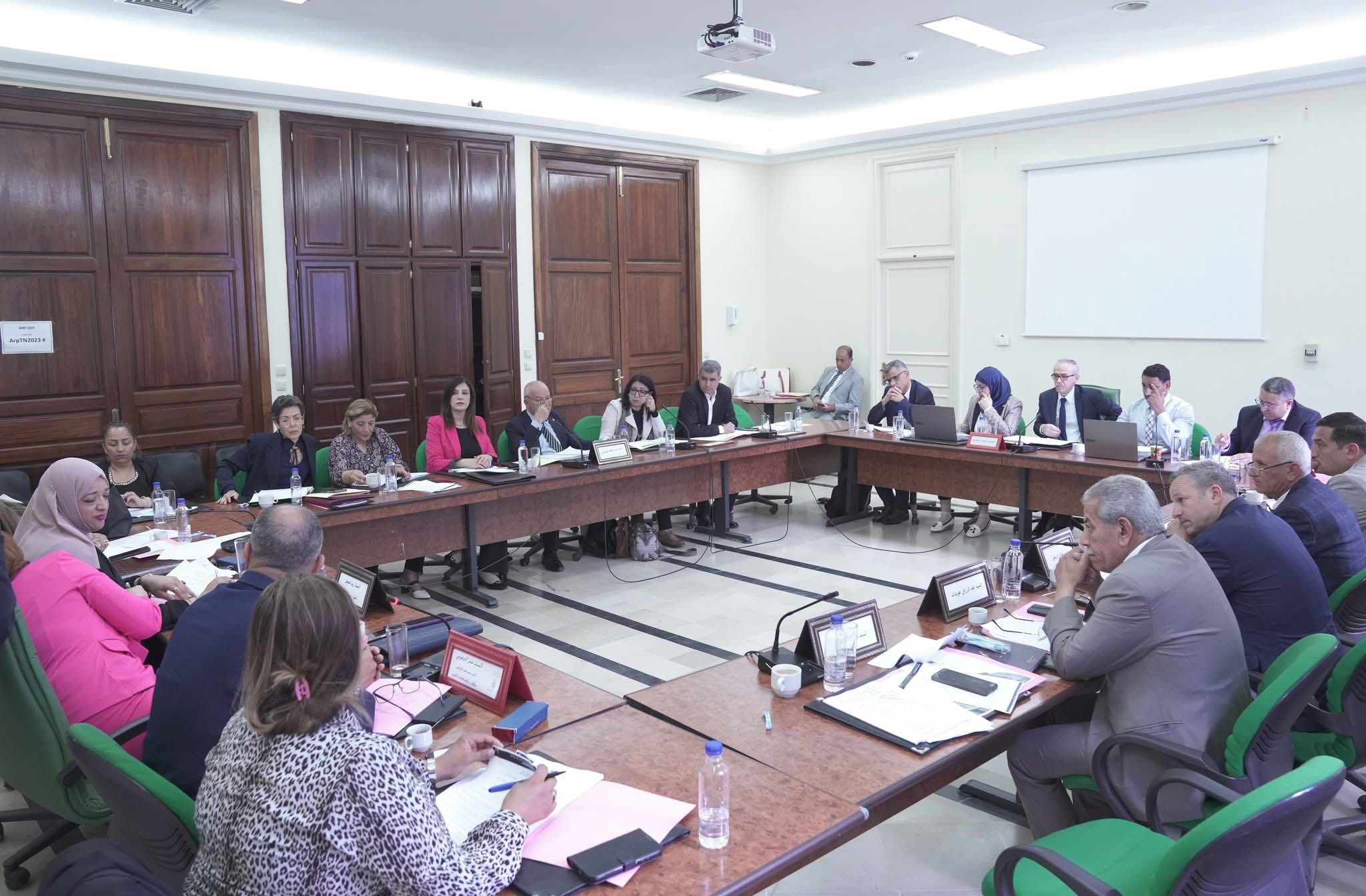 وزير الشؤون الاجتماعية يدعو إلى توسيع التشاور حول تنقيح القانون المحدث للمجلس الوطني للتونسيين المقيمين بالخارج