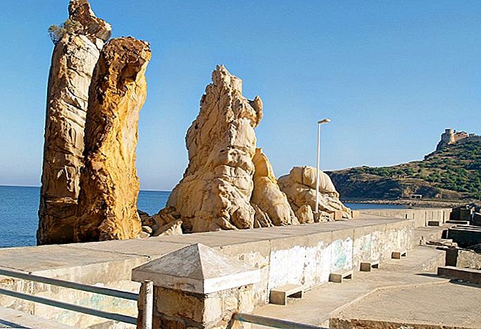 المنطقة السياحية طبرقة عين دراهم وجهة للمستثمرين وباعثي المشاريع في القطاع السياحي