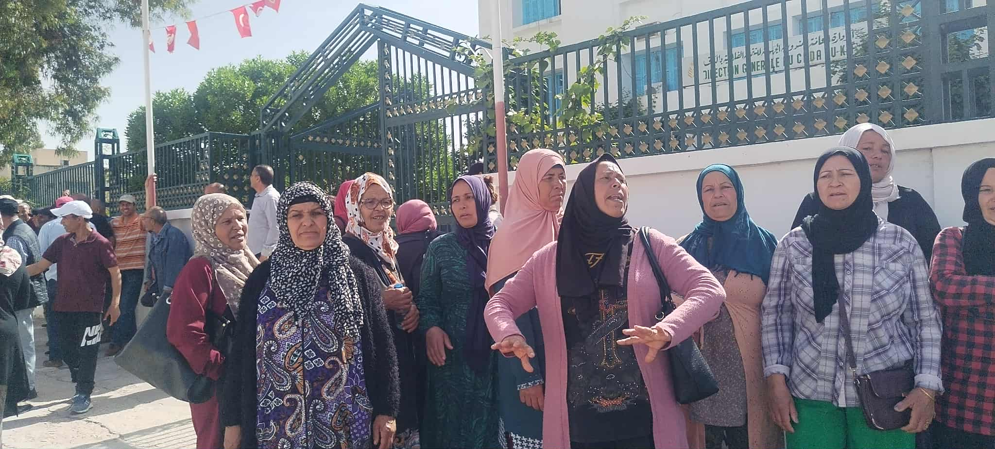 الكاف: اضراب وطني لقطاع الفلاحة  على خلفية عدد من المطالب المهنية