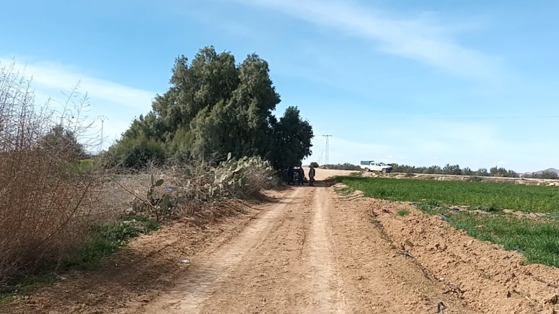 القيروان: تردي حالة الطرقات والمسالك الفلاحية بمنطقة عبيدة، يعيق نقل المنتوجات نحو الأسواق.