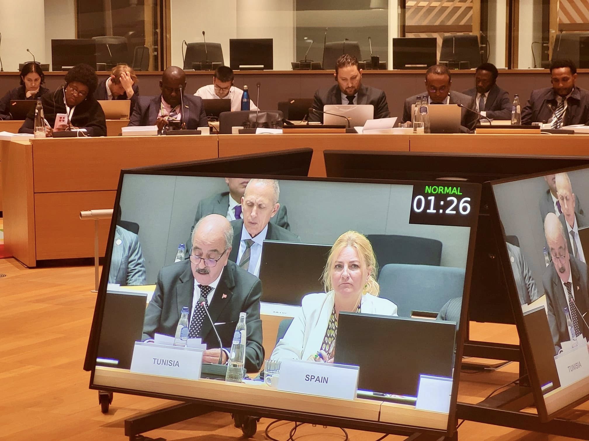 النفطي في بروكسيل:تونس تشجع الفضاءين الافريقي والاوروبي على بناء علاقة دائمة و متينة ومفيدة للطرفين