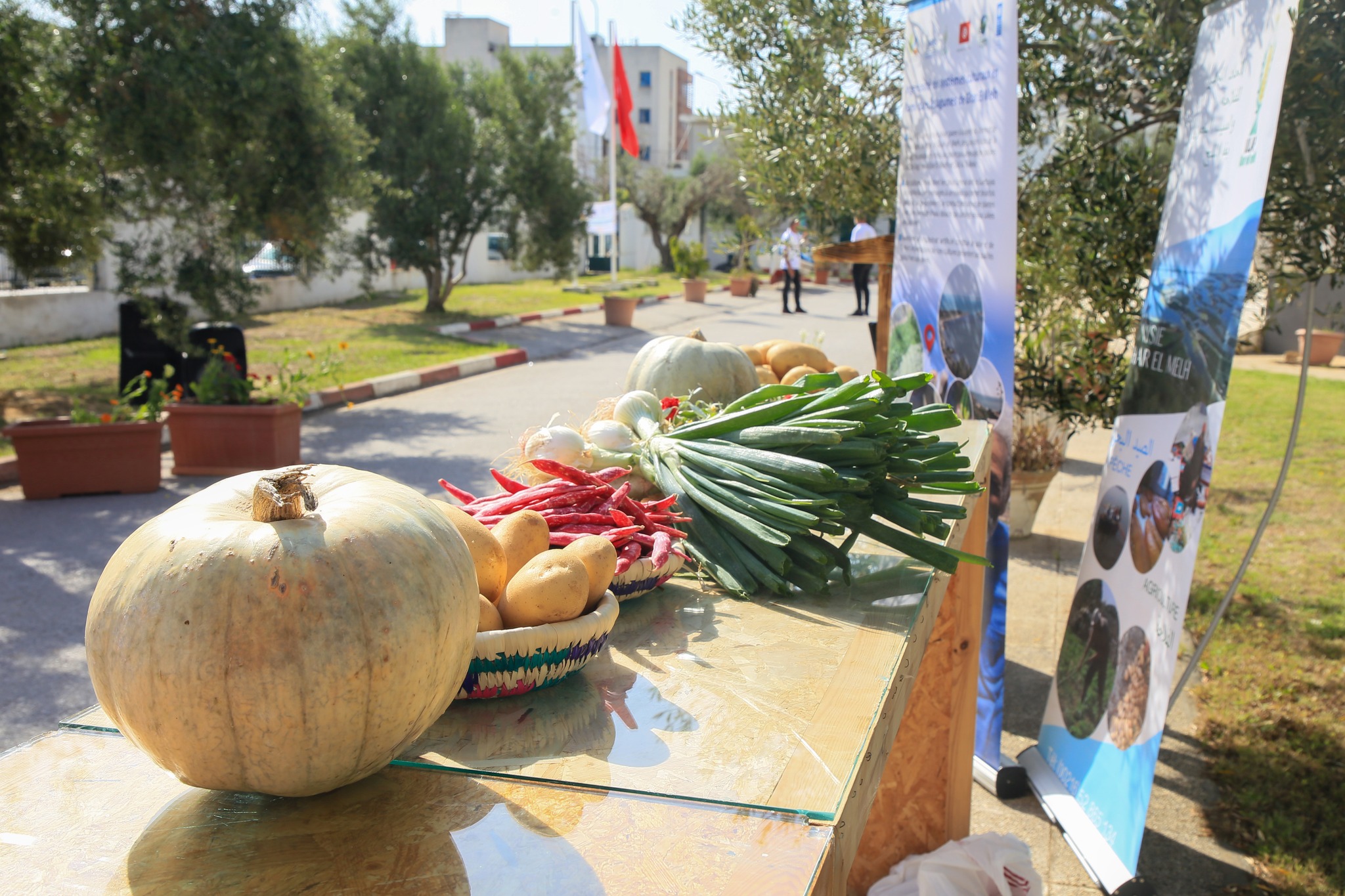 العاصمة: افتتاح سوق الفلاح التونسي (صور)