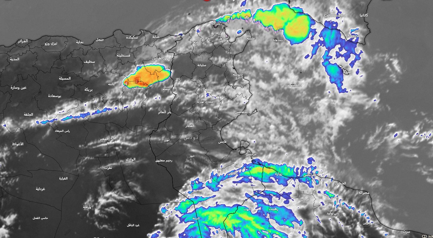 تقلبات جوية مرتقبة : وزارة الفلاحة تدعو الفلاحين إلى أخذ الاحتياطات اللازمة لحماية المواشي والتجهيزات