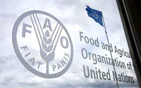 "الفاو" تحذّر من خطر المجاعة في قطاع غزة