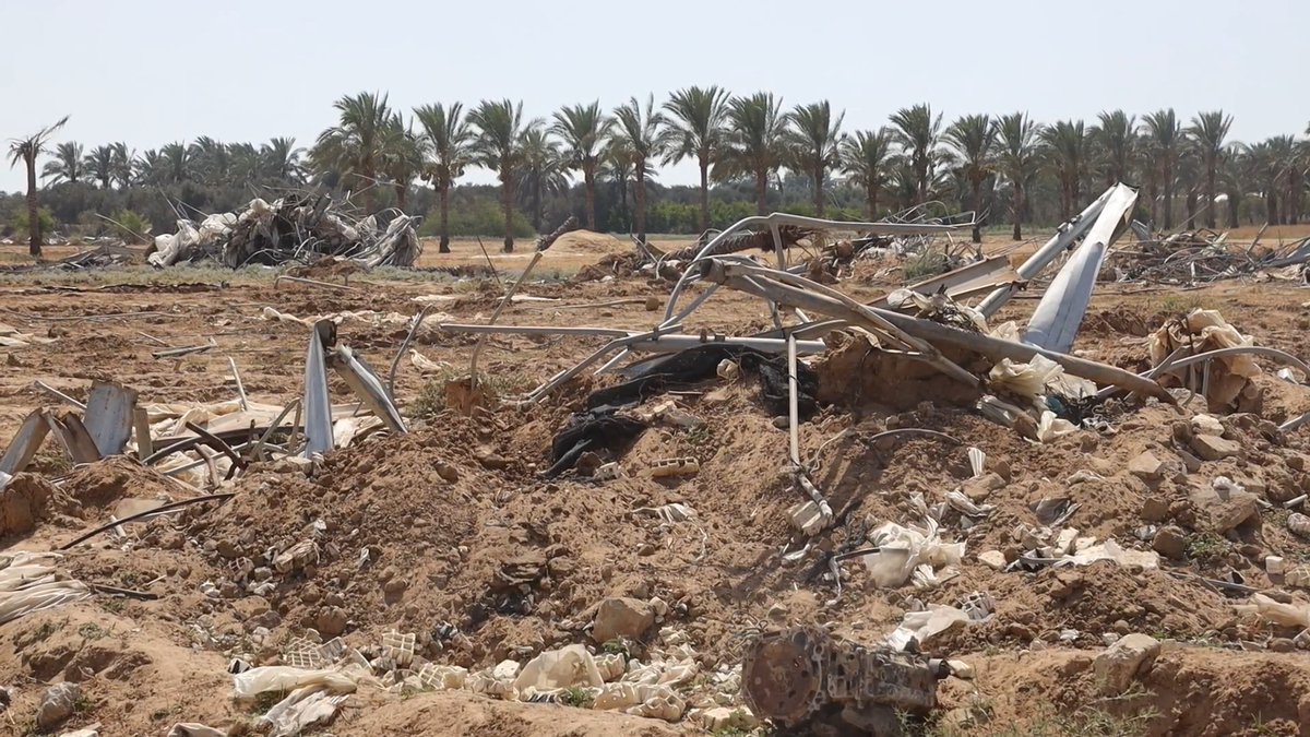 العدوان الصهيوني على غزة: 95 بالمائة من الأراضي الزراعية لم تعد صالحة للاستخدام