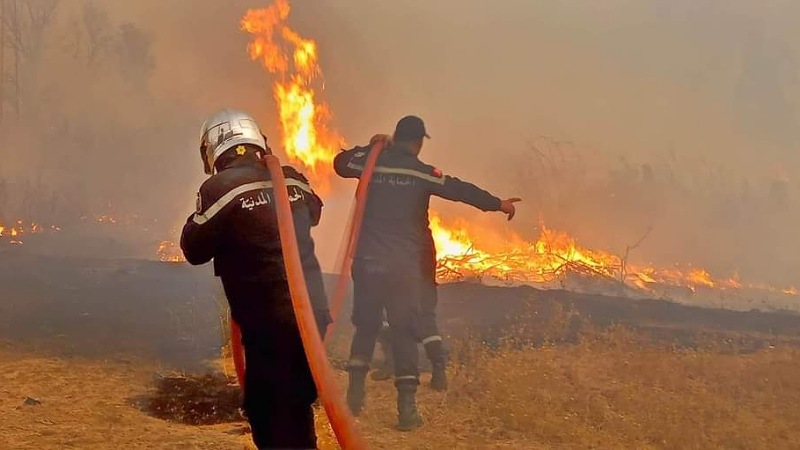 الحماية المدنية : 79 تدخلا لإطفاء حرائق خلال الأربع والعشرين ساعة الماضية