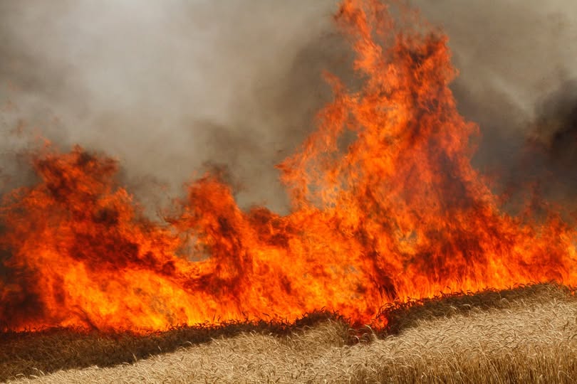 بوعرقوب :السيطرة على حريق أتى على 2.5هكتار