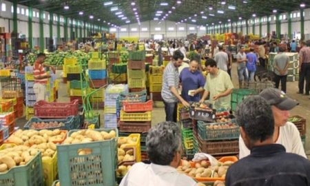 المنستير : التمديد في آجال تقديم مطالب الحصول على رخصة وكيل بيع بسوق الجملة للخضر والغلال