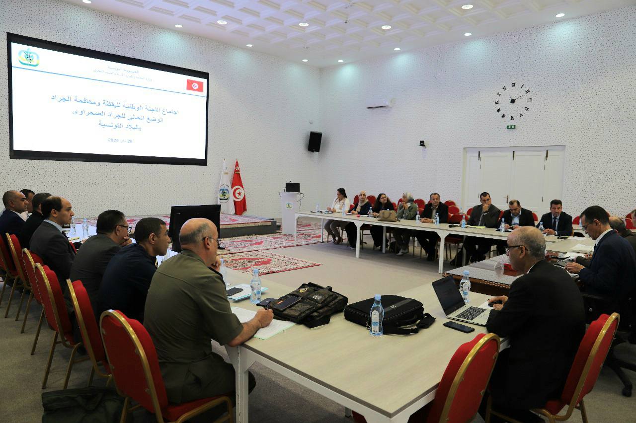 جلسة عمل لمتابعة الحملة الوطنية لمكافحة الجراد الصّحراوي بالجنوب التّونسي