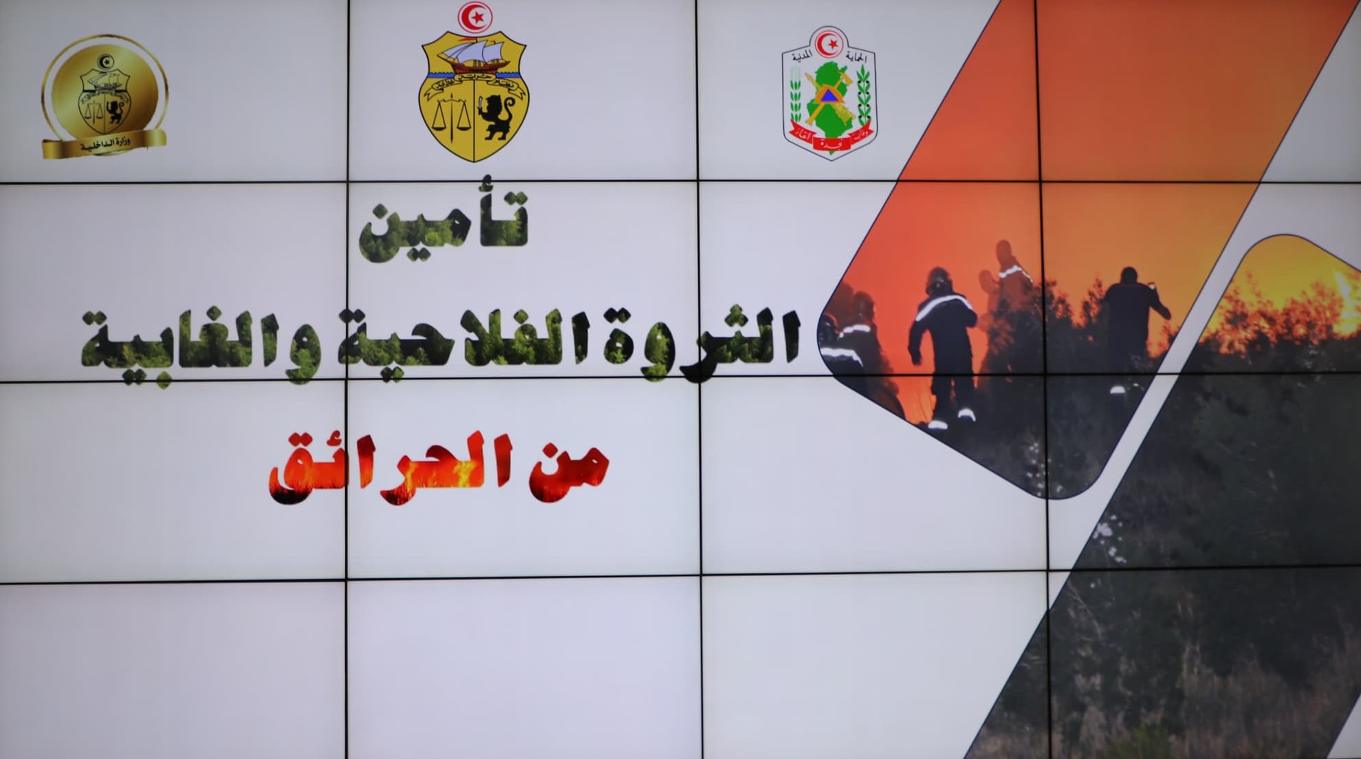 انعقاد لجنة مشتركة بين وزراتي الداخلية والفلاحة لتأمين الثروة الغابية والفلاحية من الحرائق