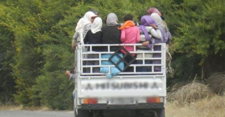 تحيين: اصطدام شاحنة تُقلّ عاملات فلاحيات بسيارة خفيفة في الكاف يسفر عن حالتي وفاة وإصابة 26 عاملة