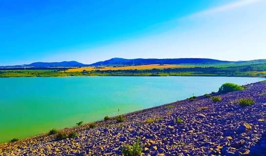 بن عروس: تطور مخزون المياه بالسدود والبحيرات الجبلية