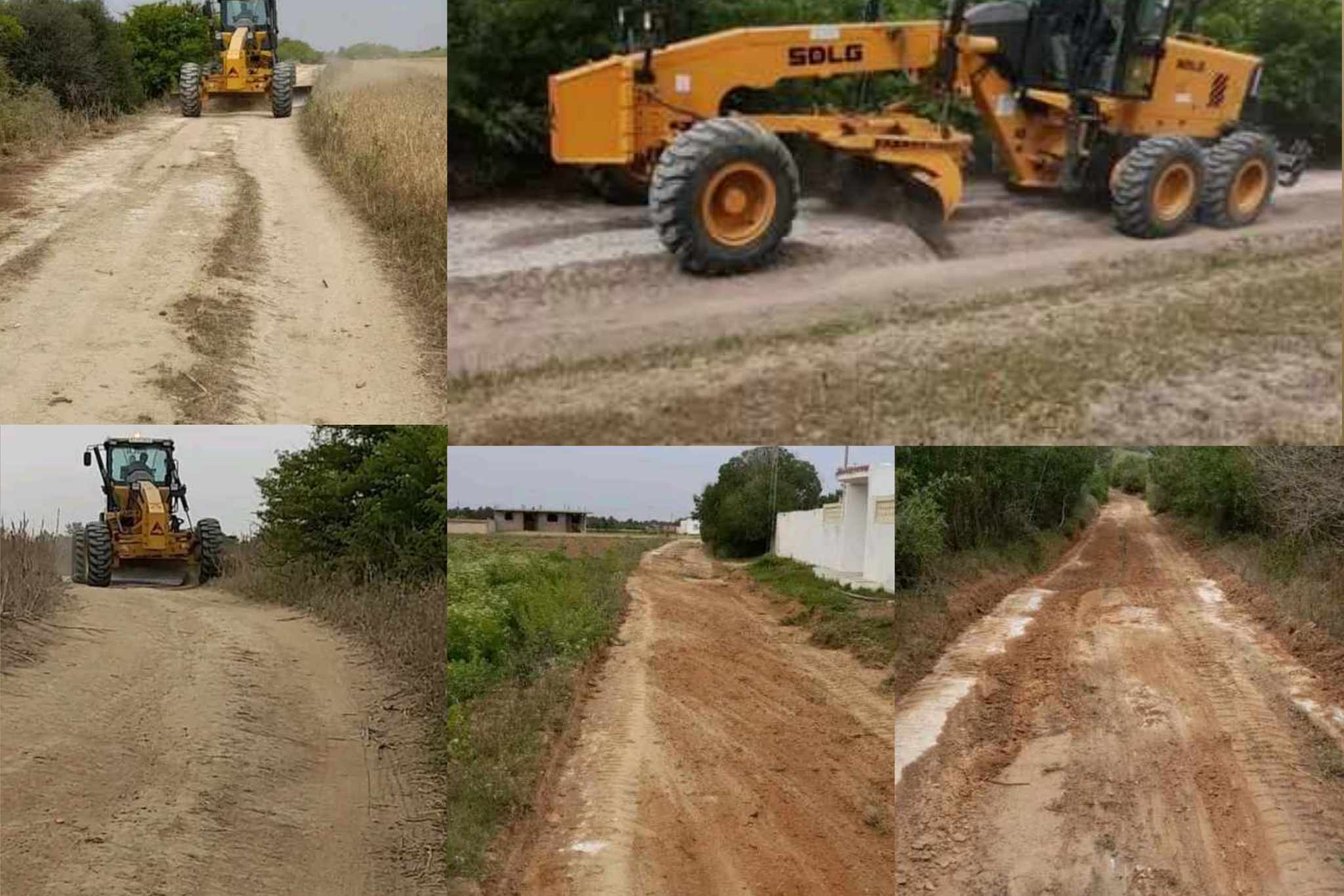 منوبة: مسح أكثر من 280  كلم من المسالك الفلاحية استعدادا لتأمين موسم الحصاد